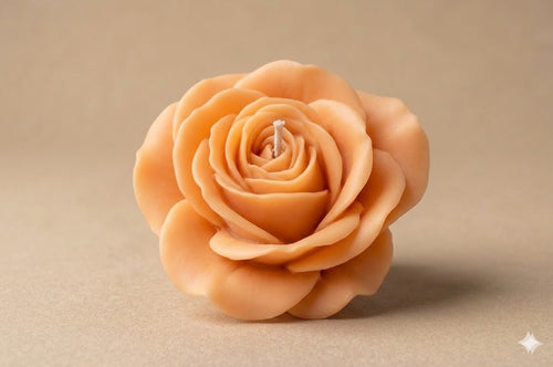 Rosa Jardin